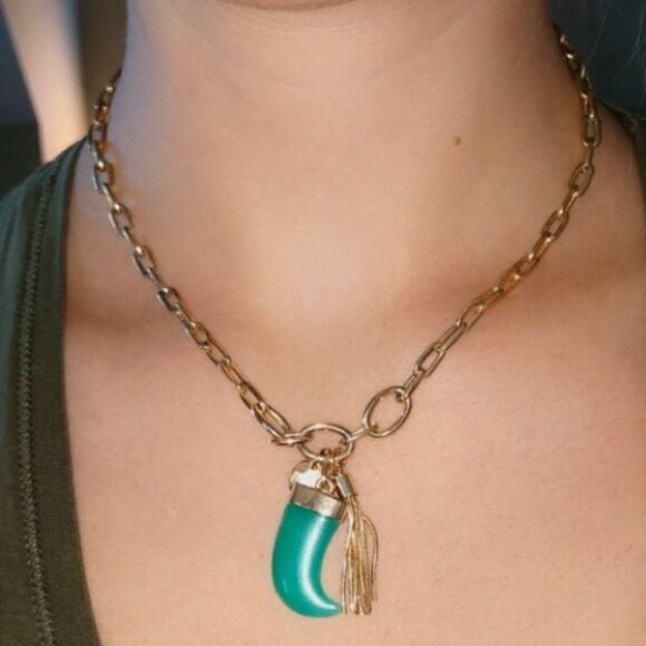 ✨ Graziano Cn ✨ Turquoise Horn Pendant Necklace - Picture 5 of 5